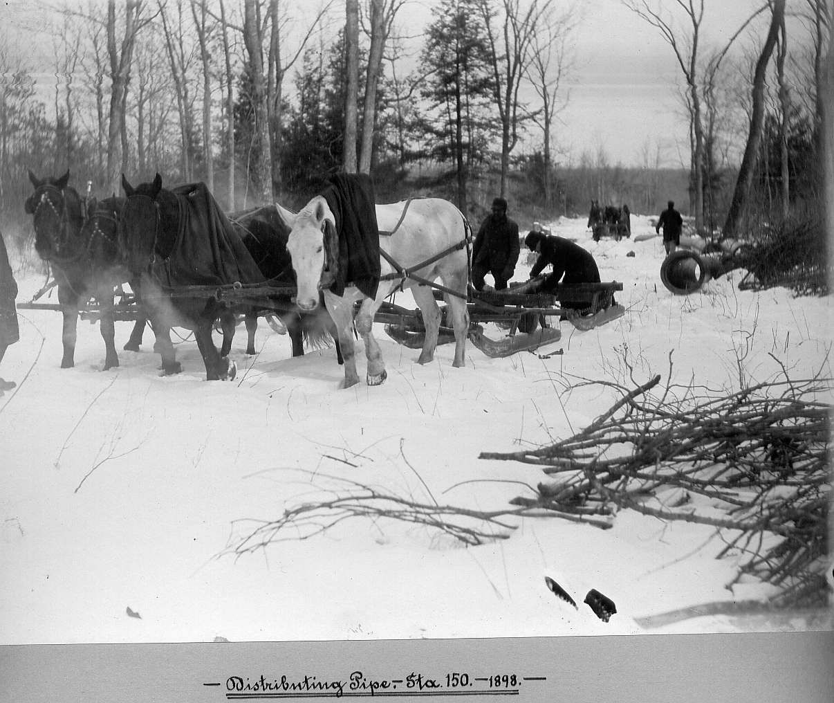 Horses pulling sleds with pipe and men